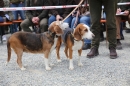 Jagdhundetag-2017-04-23-Dornsberg-Bodensee_Community-seechat_DE-IMG_0905.JPG