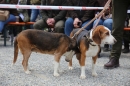 Jagdhundetag-2017-04-23-Dornsberg-Bodensee_Community-seechat_DE-IMG_0908.JPG