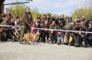 Jagdhundetag-2017-04-23-Dornsberg-Bodensee_Community-seechat_DE-IMG_0910.JPG