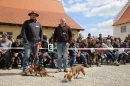 Jagdhundetag-2017-04-23-Dornsberg-Bodensee_Community-seechat_DE-IMG_0912.JPG