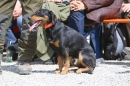 Jagdhundetag-2017-04-23-Dornsberg-Bodensee_Community-seechat_DE-IMG_0986.JPG