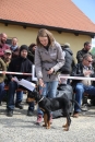 Jagdhundetag-2017-04-23-Dornsberg-Bodensee_Community-seechat_DE-IMG_1002.JPG