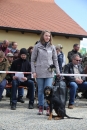 Jagdhundetag-2017-04-23-Dornsberg-Bodensee_Community-seechat_DE-IMG_1004.JPG