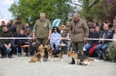 Jagdhundetag-2017-04-23-Dornsberg-Bodensee_Community-seechat_DE-IMG_1006.JPG