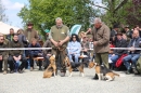 Jagdhundetag-2017-04-23-Dornsberg-Bodensee_Community-seechat_DE-IMG_1007.JPG