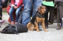Jagdhundetag-2017-04-23-Dornsberg-Bodensee_Community-seechat_DE-IMG_1045.JPG