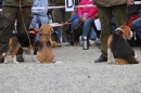 Jagdhundetag-2017-04-23-Dornsberg-Bodensee_Community-seechat_DE-IMG_1050.JPG