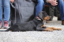 Jagdhundetag-2017-04-23-Dornsberg-Bodensee_Community-seechat_DE-IMG_1054.JPG