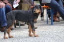 Jagdhundetag-2017-04-23-Dornsberg-Bodensee_Community-seechat_DE-IMG_1073.JPG