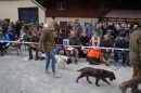 Jagdhundetag-2017-04-23-Dornsberg-Bodensee_Community-seechat_DE-IMG_1088.JPG