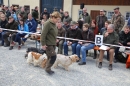 Jagdhundetag-2017-04-23-Dornsberg-Bodensee_Community-seechat_DE-IMG_1089.JPG
