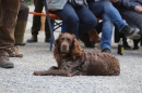 Jagdhundetag-2017-04-23-Dornsberg-Bodensee_Community-seechat_DE-IMG_1099.JPG