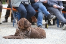 Jagdhundetag-2017-04-23-Dornsberg-Bodensee_Community-seechat_DE-IMG_1102.JPG