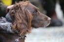 Jagdhundetag-2017-04-23-Dornsberg-Bodensee_Community-seechat_DE-IMG_1107.JPG