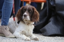 Jagdhundetag-2017-04-23-Dornsberg-Bodensee_Community-seechat_DE-IMG_1113.JPG