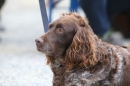 Jagdhundetag-2017-04-23-Dornsberg-Bodensee_Community-seechat_DE-IMG_1118.JPG
