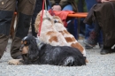 Jagdhundetag-2017-04-23-Dornsberg-Bodensee_Community-seechat_DE-IMG_1120.JPG