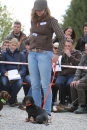 Jagdhundetag-2017-04-23-Dornsberg-Bodensee_Community-seechat_DE-IMG_1155.JPG