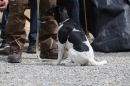 Jagdhundetag-2017-04-23-Dornsberg-Bodensee_Community-seechat_DE-IMG_1163.JPG