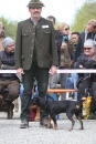 Jagdhundetag-2017-04-23-Dornsberg-Bodensee_Community-seechat_DE-IMG_1167.JPG