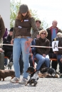 Jagdhundetag-2017-04-23-Dornsberg-Bodensee_Community-seechat_DE-IMG_1177.JPG