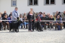 Jagdhundetag-2017-04-23-Dornsberg-Bodensee_Community-seechat_DE-IMG_1207.JPG