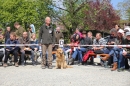Jagdhundetag-2017-04-23-Dornsberg-Bodensee_Community-seechat_DE-IMG_1210.JPG