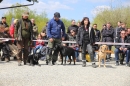 Jagdhundetag-2017-04-23-Dornsberg-Bodensee_Community-seechat_DE-IMG_1211.JPG