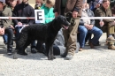 Jagdhundetag-2017-04-23-Dornsberg-Bodensee_Community-seechat_DE-IMG_1216.JPG