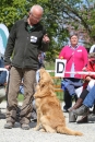 Jagdhundetag-2017-04-23-Dornsberg-Bodensee_Community-seechat_DE-IMG_1233.JPG