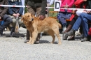 Jagdhundetag-2017-04-23-Dornsberg-Bodensee_Community-seechat_DE-IMG_1241.JPG