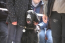 Jagdhundetag-2017-04-23-Dornsberg-Bodensee_Community-seechat_DE-IMG_1254.JPG