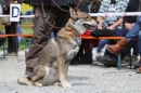 Jagdhundetag-2017-04-23-Dornsberg-Bodensee_Community-seechat_DE-IMG_1274.JPG