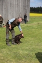 Jagdhundetag-2017-04-23-Dornsberg-Bodensee_Community-seechat_DE-IMG_1312.JPG