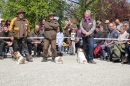 xx2Jagdhundetag-2017-04-23-Dornsberg-Bodensee_Community-seechat_DE-IMG_1140.JPG