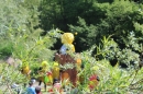 Flossrennen-Sitterdorf-2017-5-21-Bodensee-Community-SEECHAT_DE-2017-05-21_12_30_10.jpg
