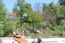 Flossrennen-Sitterdorf-2017-5-21-Bodensee-Community-SEECHAT_DE-2017-05-21_12_31_49.jpg