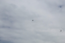 Flossrennen-Sitterdorf-2017-5-21-Bodensee-Community-SEECHAT_DE-2017-05-21_13_26_13.jpg