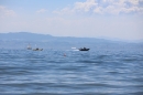 Picknick-Kino-Strandbad-Friedrichshafen-2017-05-25-Bodensee-Community-SEECHAT_DE-IMG_3980.JPG