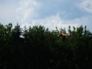 Flugmodell-Tag-Ertingen-2017-05-27-Bodensee-Community-SEECHAT_DE-_161_.JPG