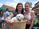 HOCHDORF-Stadtfest-SEECHAT_DE-_94_.JPG