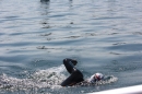 Dreilaender-Bodensee-Querung-BODENSEEBOOT-Alard-Schroeder-2017-SEECHAT_DE-IMG_5715.JPG