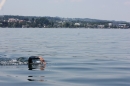 Dreilaender-Bodensee-Querung-BODENSEEBOOT-Alard-Schroeder-2017-SEECHAT_DE-IMG_5755.JPG