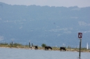 Dreilaender-Bodensee-Querung-BODENSEEBOOT-Alard-Schroeder-2017-SEECHAT_DE-IMG_5763.JPG