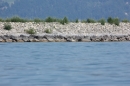 Dreilaender-Bodensee-Querung-BODENSEEBOOT-Alard-Schroeder-2017-SEECHAT_DE-IMG_5799.JPG