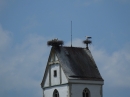 ZWIEFALTENDORF-Flohmarkt-170624DSCF3808.JPG