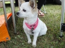 UTTENWEILER-Sommerfest-SEECHAT_DE-_49_.JPG