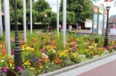 Europapark-mit-US-Car-Treffen-25-06-2017-Bodensee-Community-SEECHAT_DE-_62_.jpg