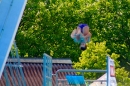 Schweizer-Wettkaempfe-Arbon-2017-07-09-Bodensee-Community-SEECHAT_CH-_129_.jpg