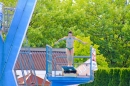 Schweizer-Wettkaempfe-Arbon-2017-07-09-Bodensee-Community-SEECHAT_CH-_27_.jpg